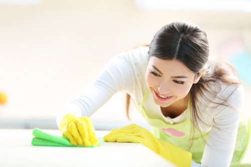 Steam cleaning equipment used for carpet care