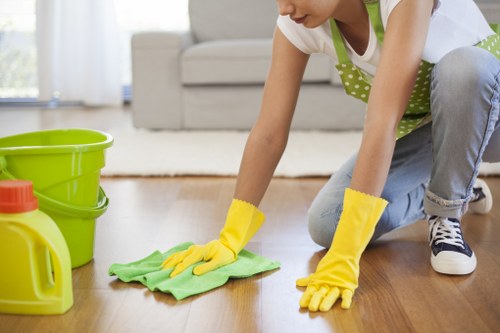 Detailed carpet cleaning process for a local property